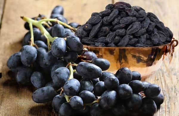 فروش کشمش انگوری + قیمت خرید به صرفه